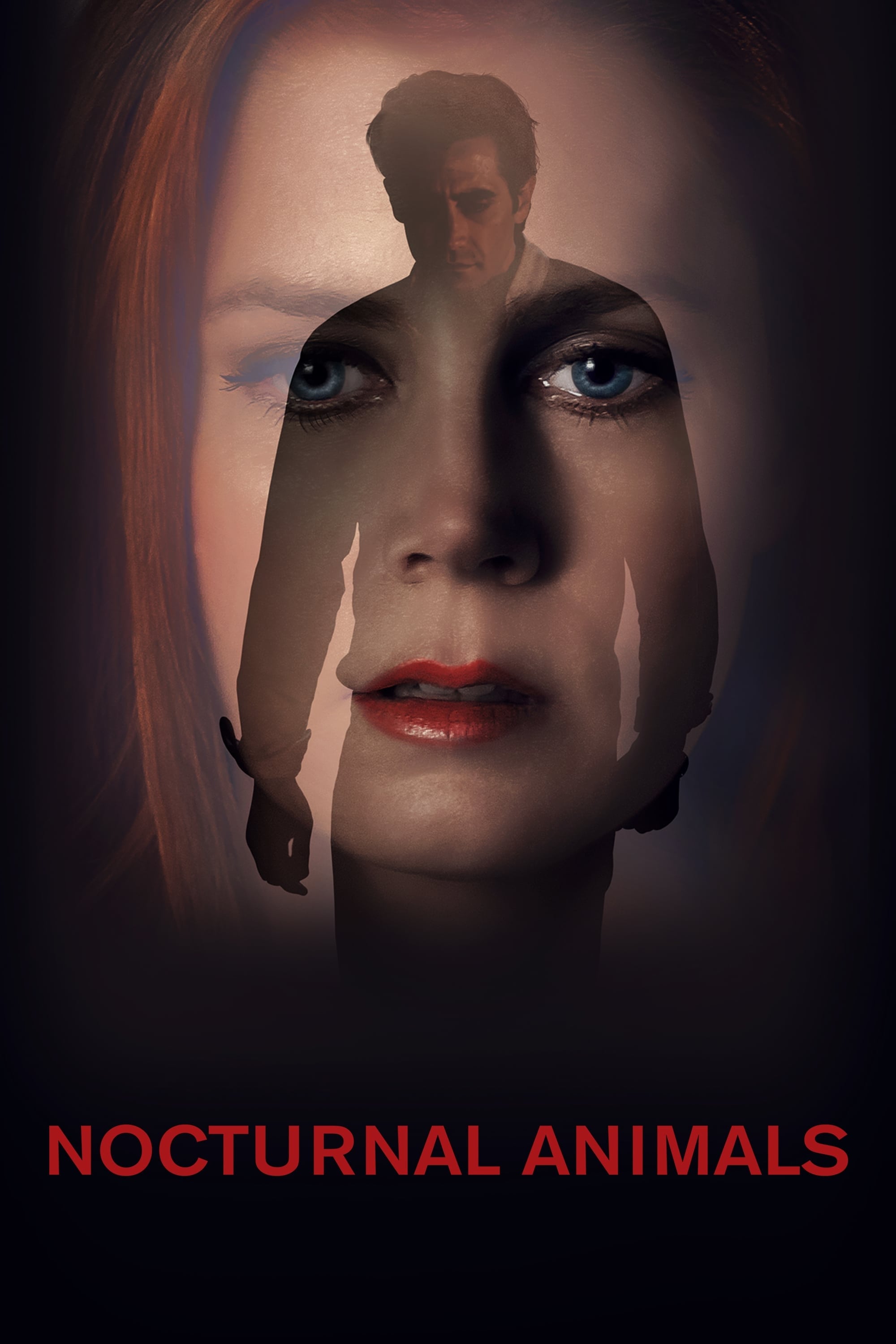 Nocturnal Animals (2016) [295734] (A1713727222) [[Movies]] --Plex--